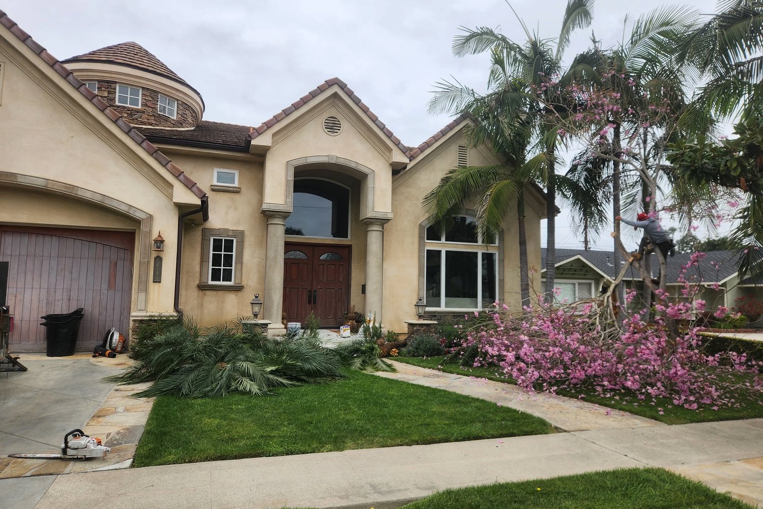 The original stucco house with a tile roof and mature palms, on the day the work started