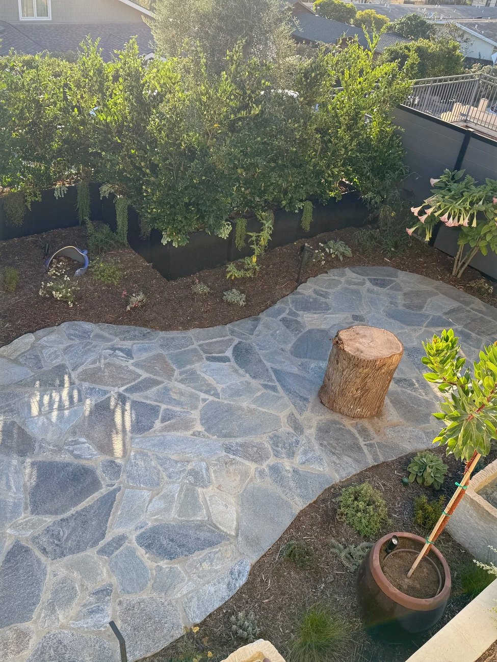 The yard