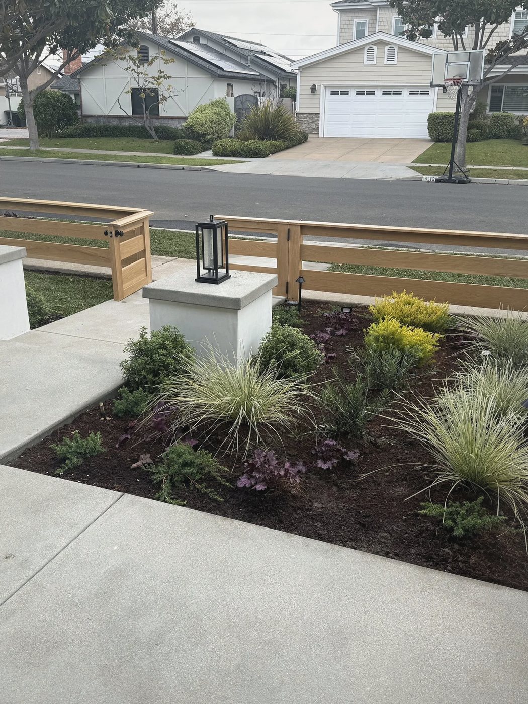 The front garden