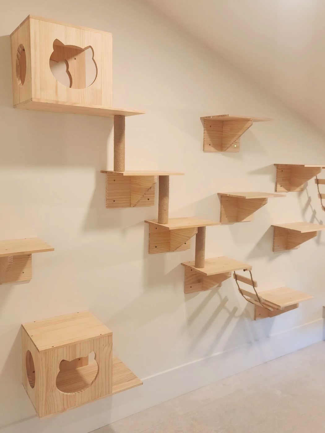The cat wall